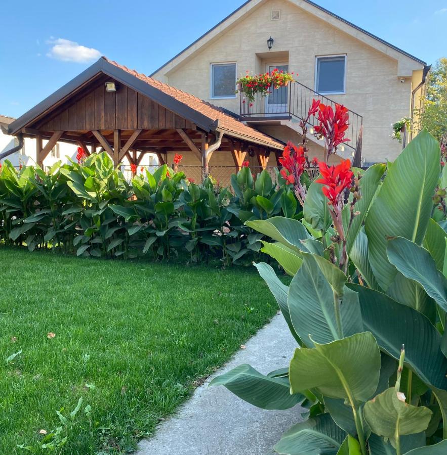Omis Rooms Pančevo Esterno foto